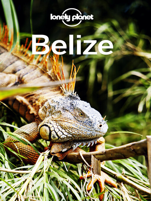 Title details for Lonely Planet Belize by Paul Harding - Available